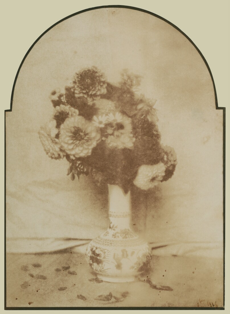 [Flowers in a Vase]