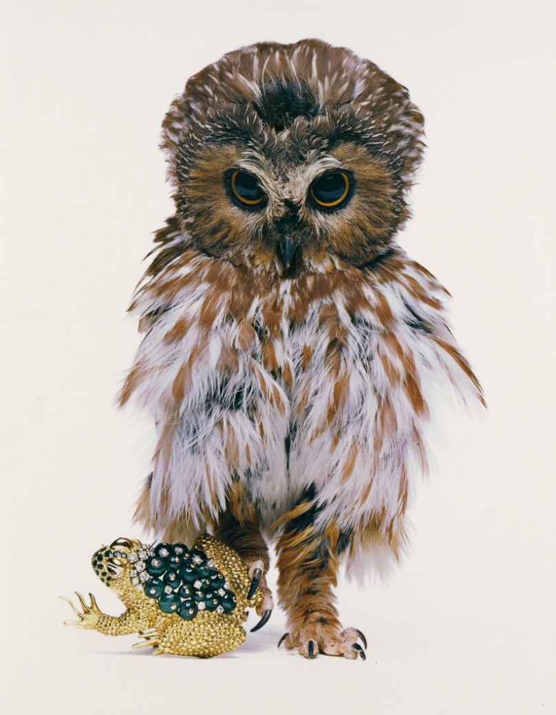 David Webb, Jeweled Toad, New York