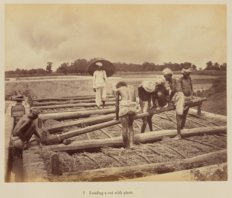 Loading a vat with plant