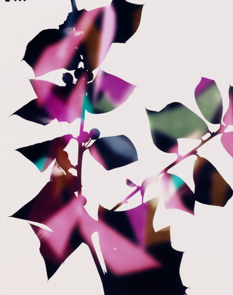 Study (for Holly 3)