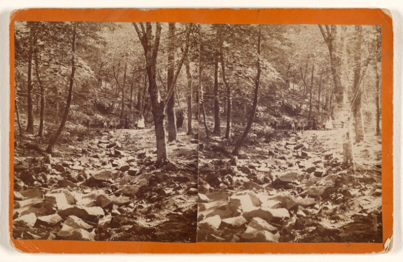 [Outing in the woods, Reading, Pennsylvania]