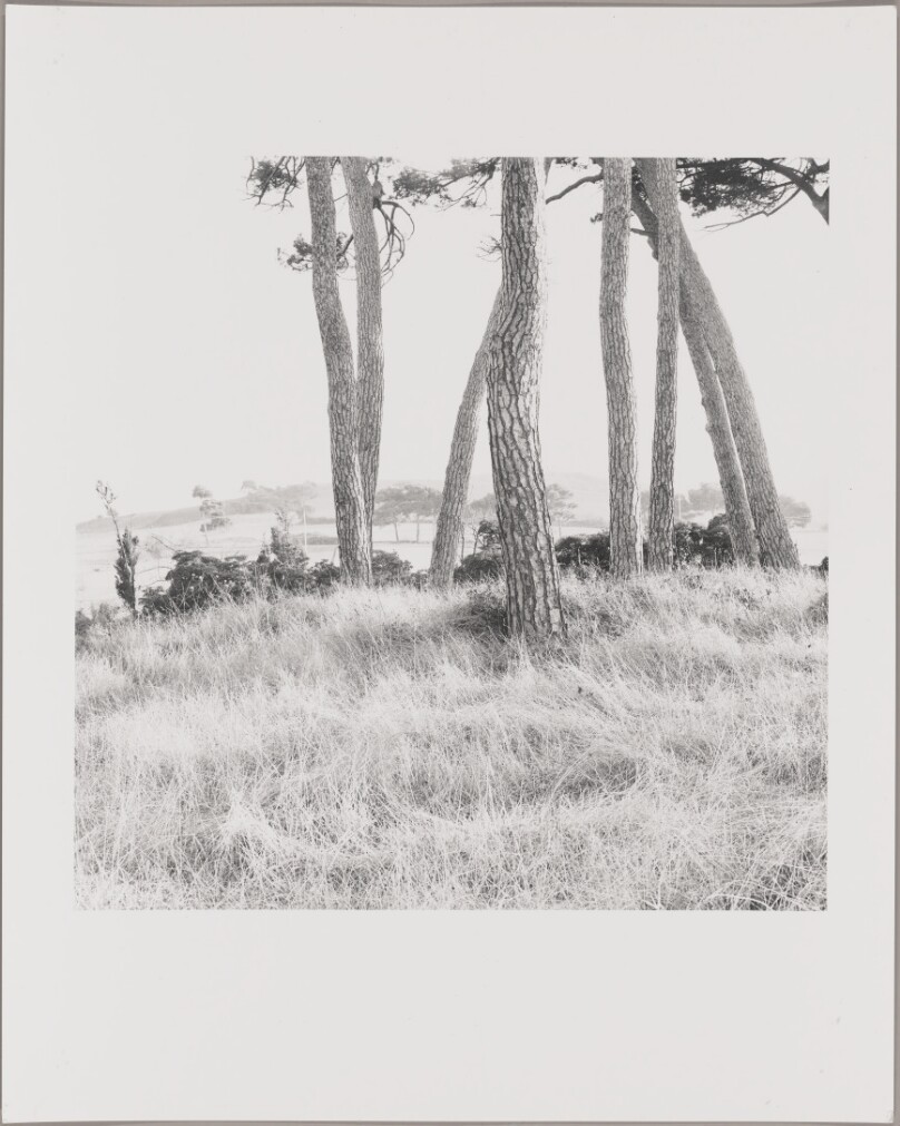 Landscape (85 PO-3)
