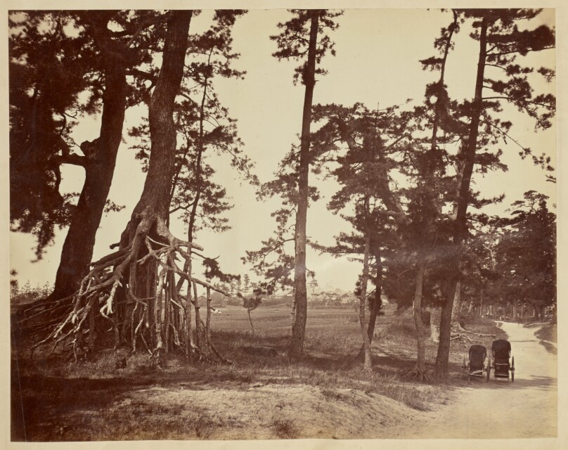 [Empty rickshaws on a dirt road]