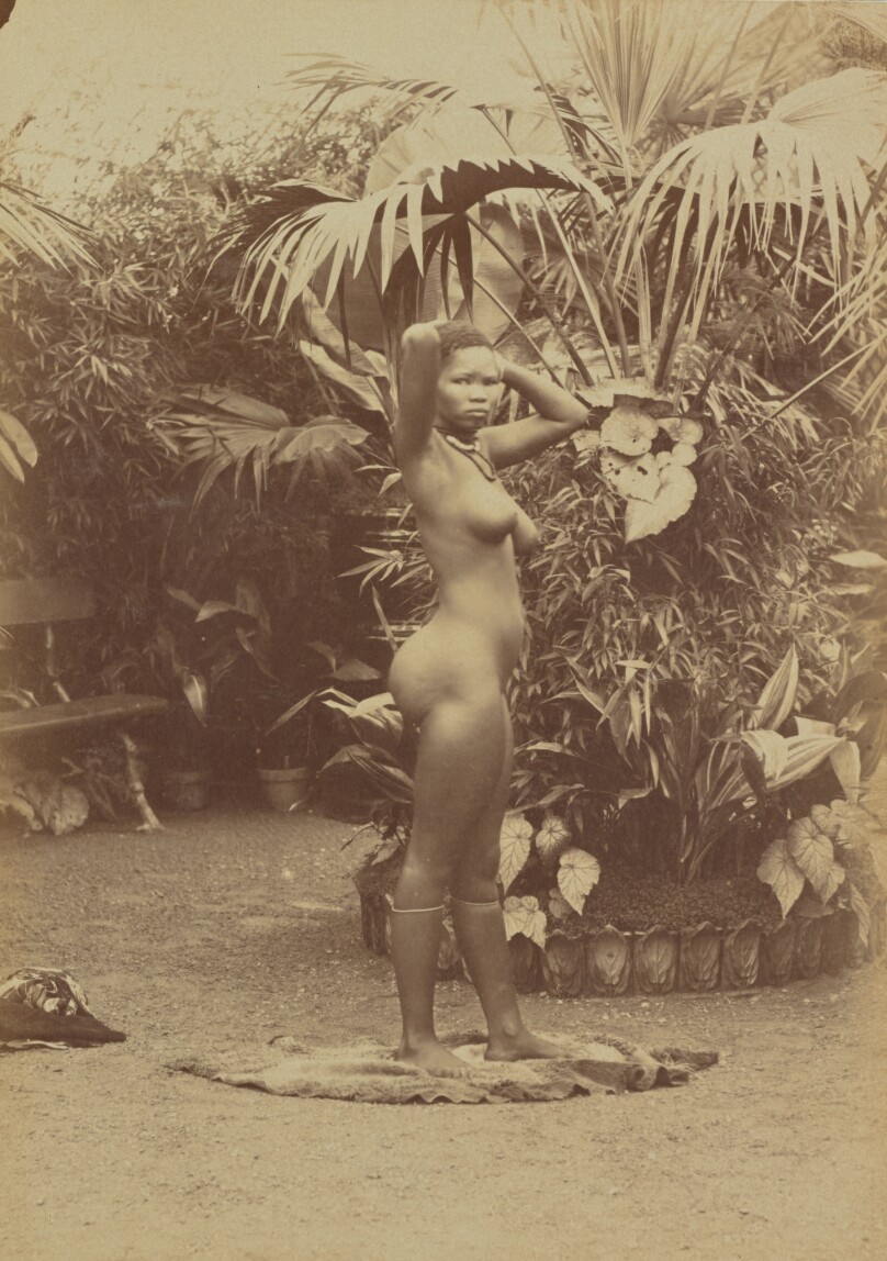 [South African Woman, Nude]