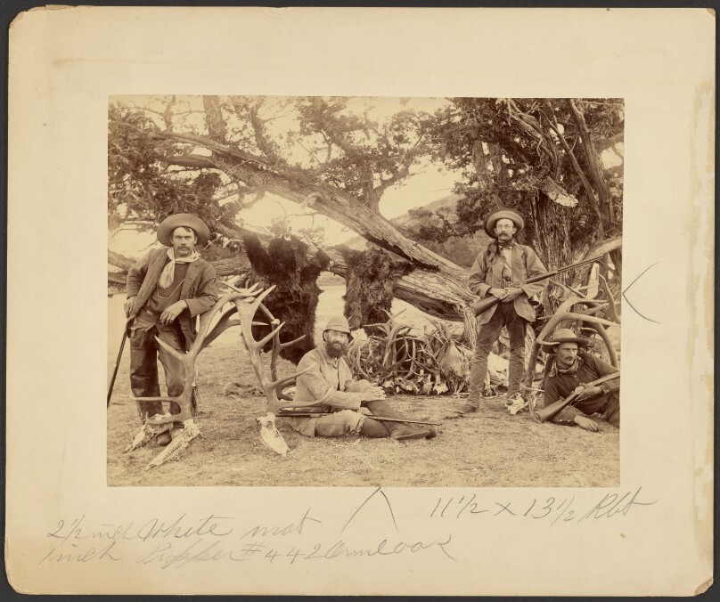 Lispenard Stewart party, #6 - 5th Ave., N.Y. with trophies by old cedar tree, Mammoth Hot Springs, Yellowstone National Park