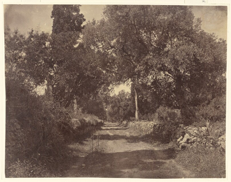 Hagia Triada, entree de l'Avenue.