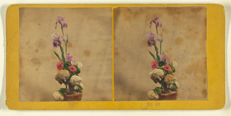 [Flower Arrangement]