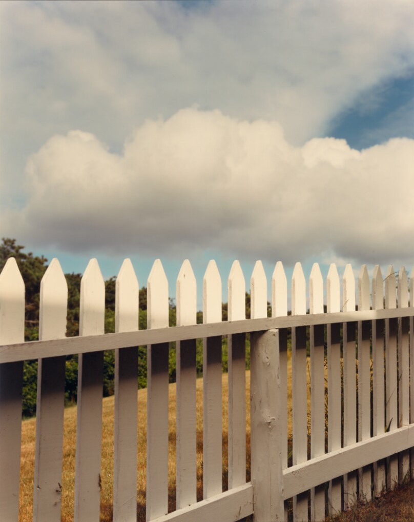 Joel Meyerowitz