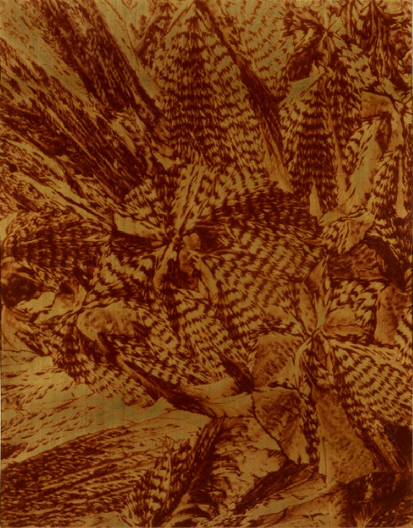 Acide margarique
