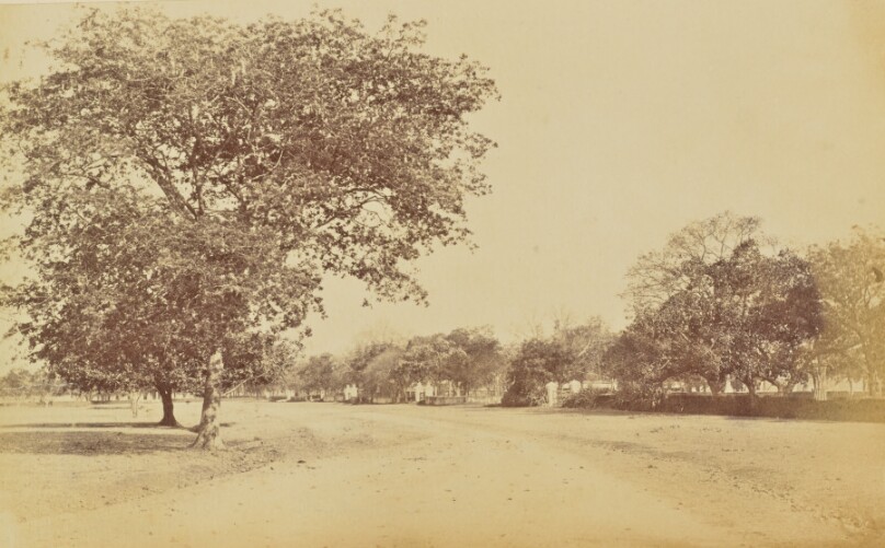 Bowenpily