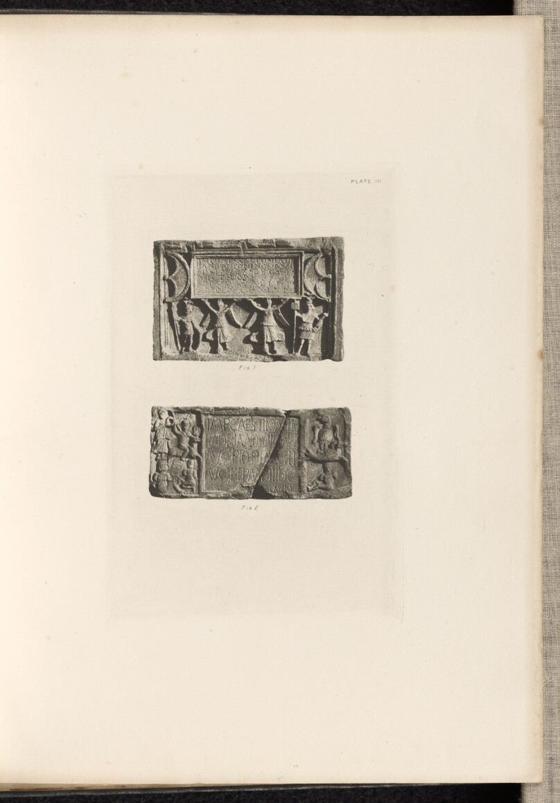Plate III