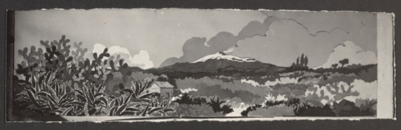 [Panorama collage]
