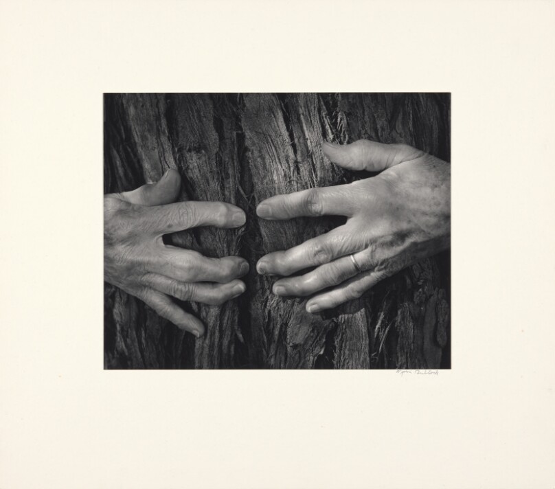 Woman's Hands
