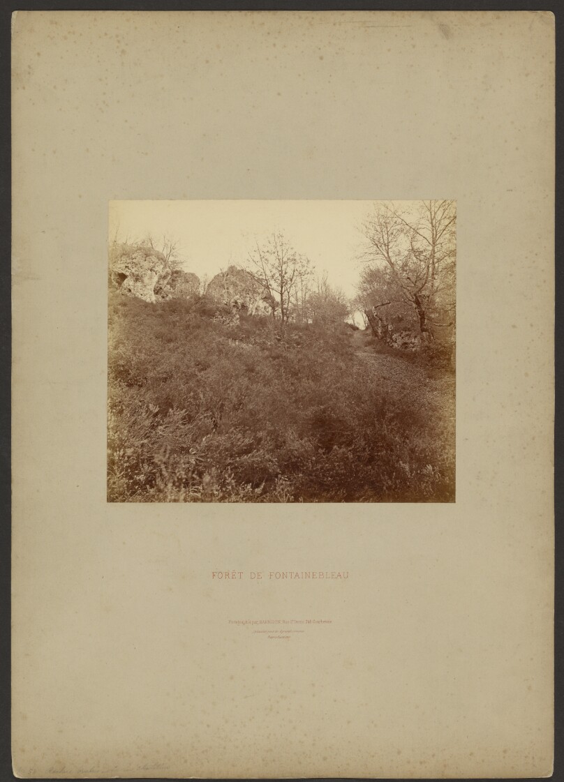 Forêt de Fontainebleau
