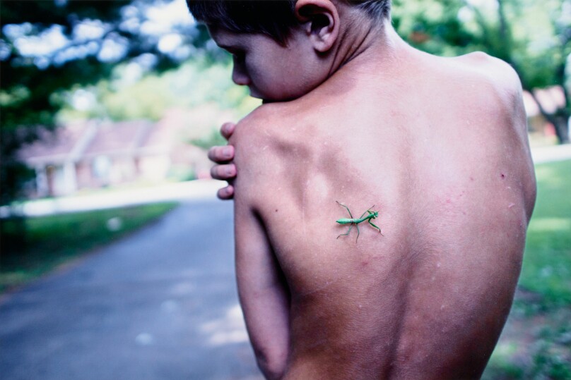 James, the Bug Whisperer