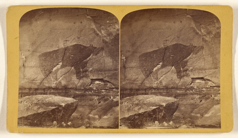 Natural Photograph of a Bear on the Rocks of the Purgatoire River. 18 Miles from Las Animas, Colorado.