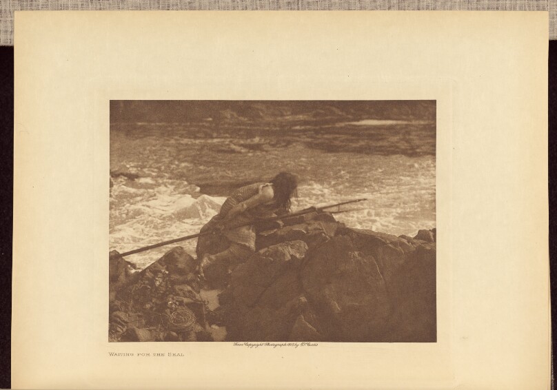 Waiting for the Seal