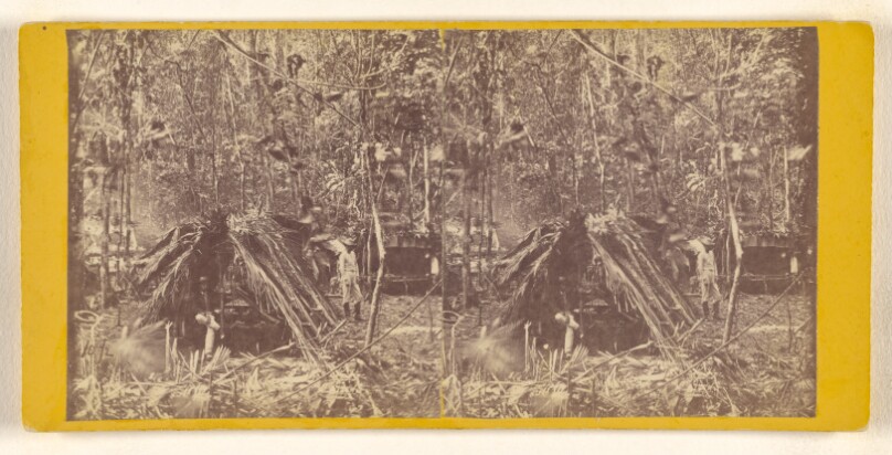 [Camp Hut used by the the Officers of the Darien Expedition while in he interior of the Isthmus]