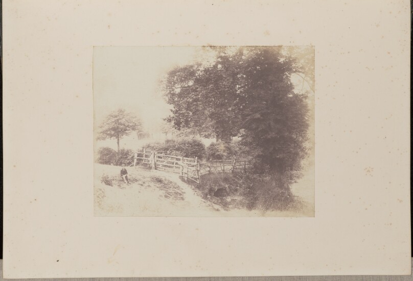 Green Meadows