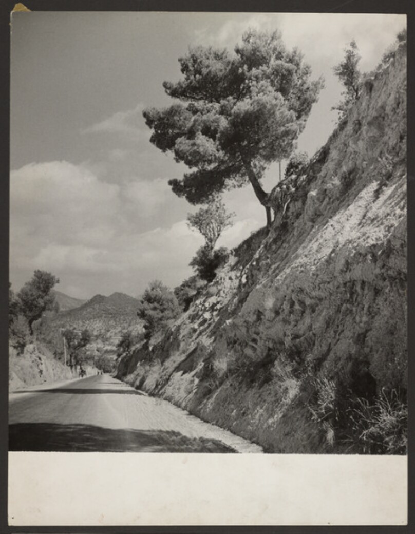 [Country Road]