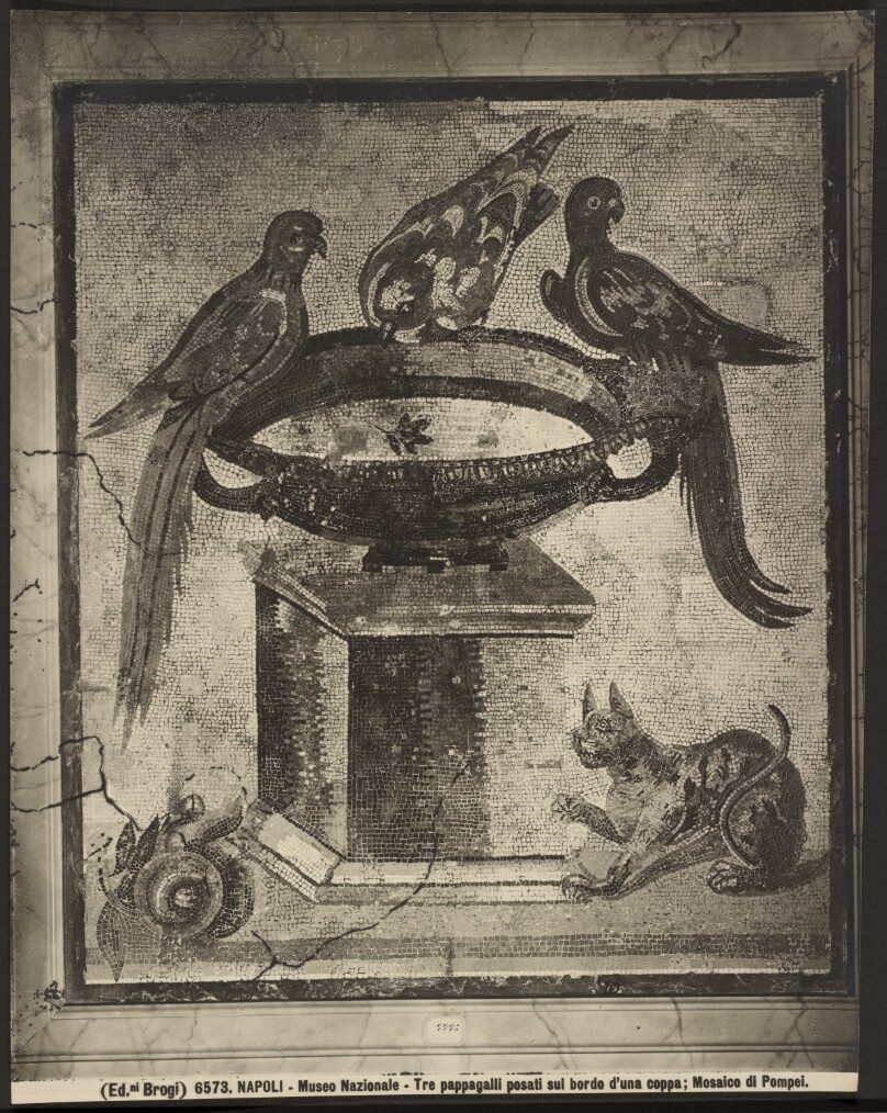 [Naples National Museum: Mosaic, Pompeii]