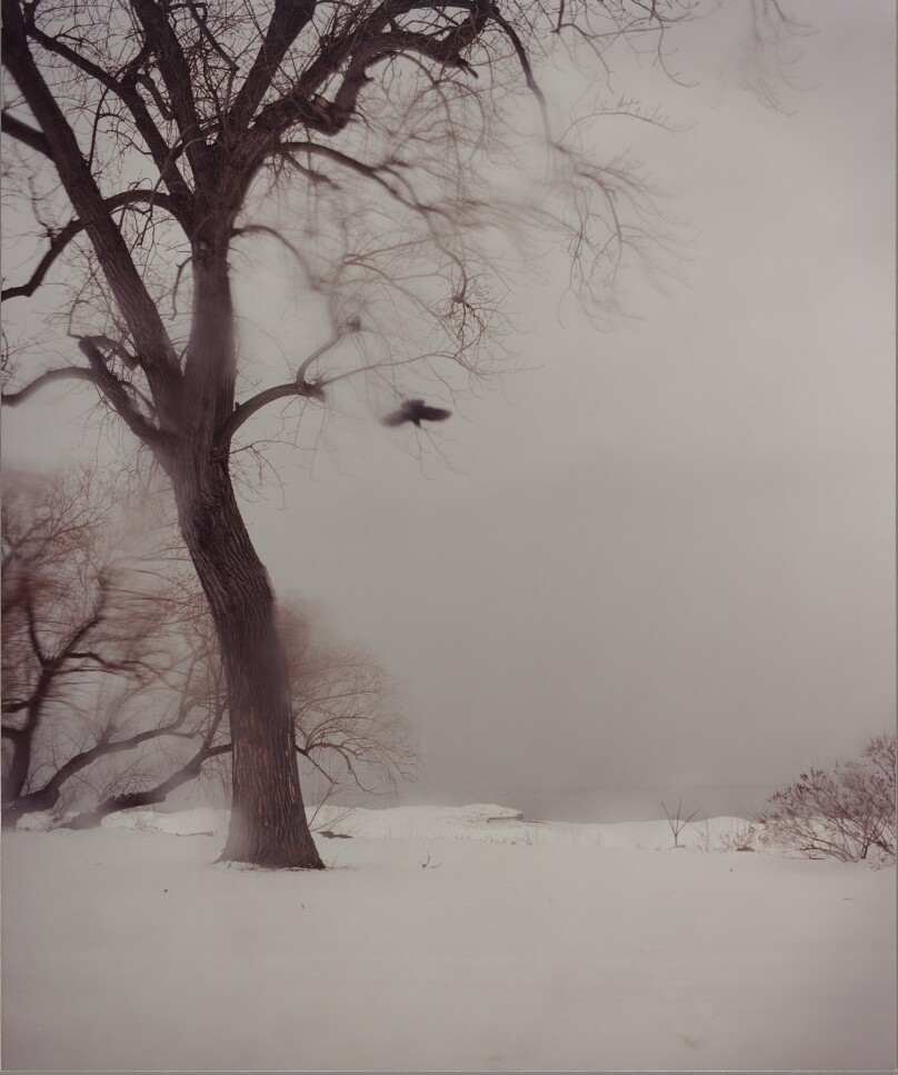 Todd Hido