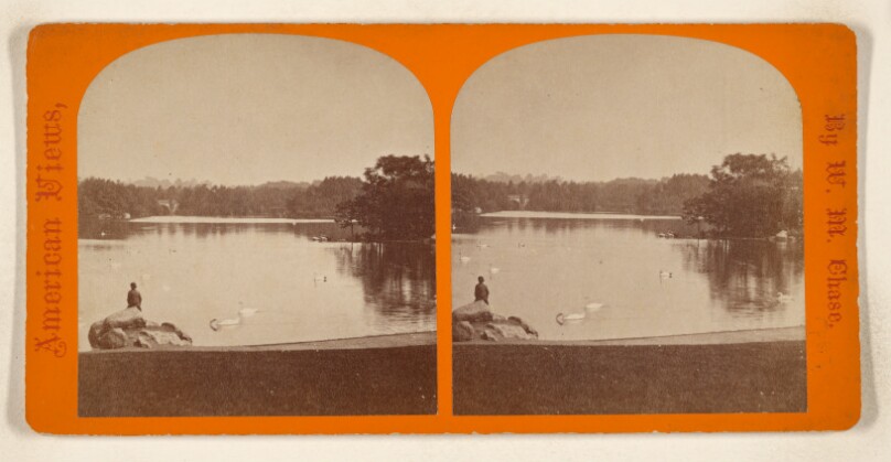[Central Lake, Central Park, New York City]