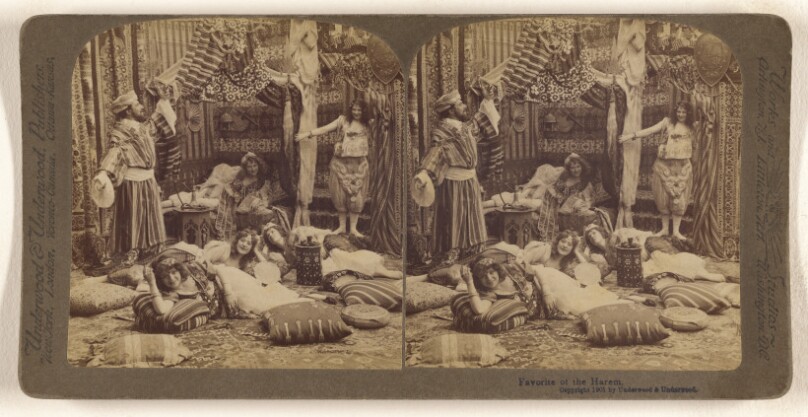 Favorite of the Harem.