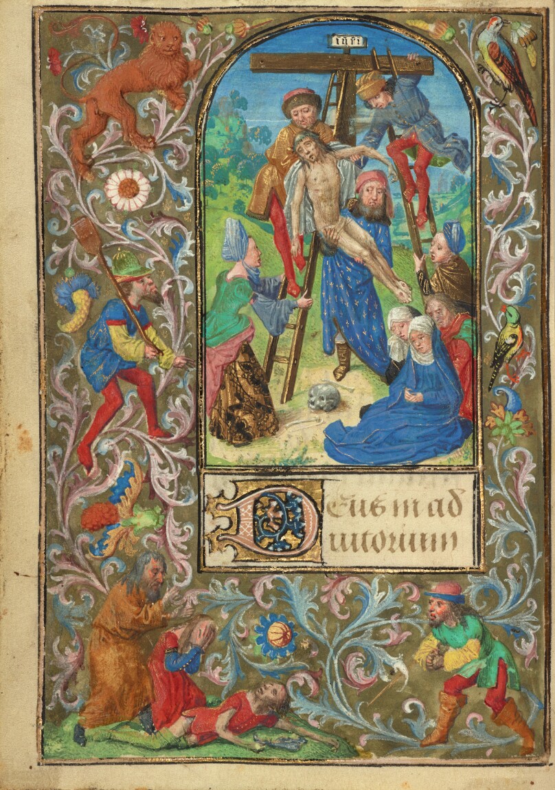 The Deposition