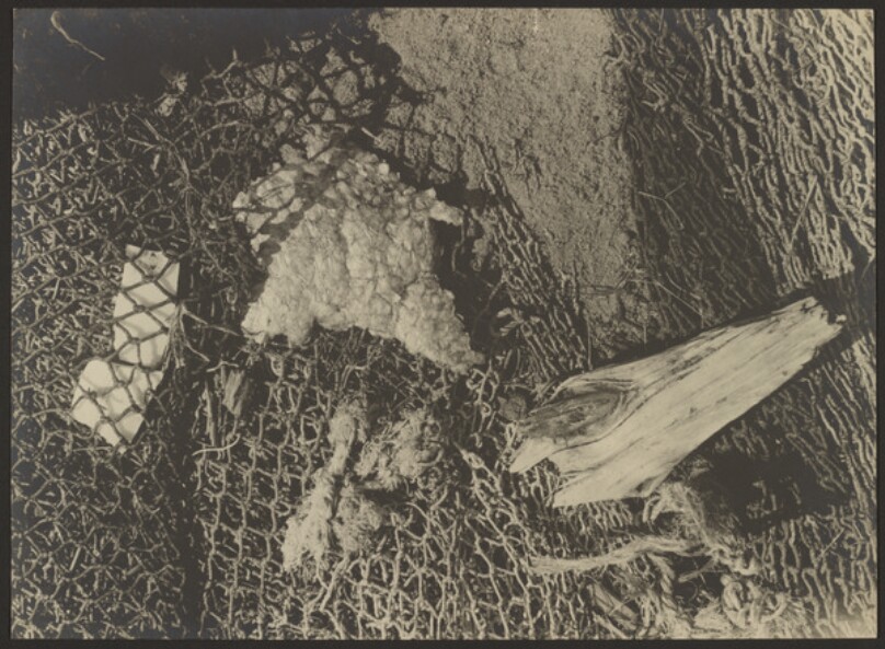 Netze (Net)