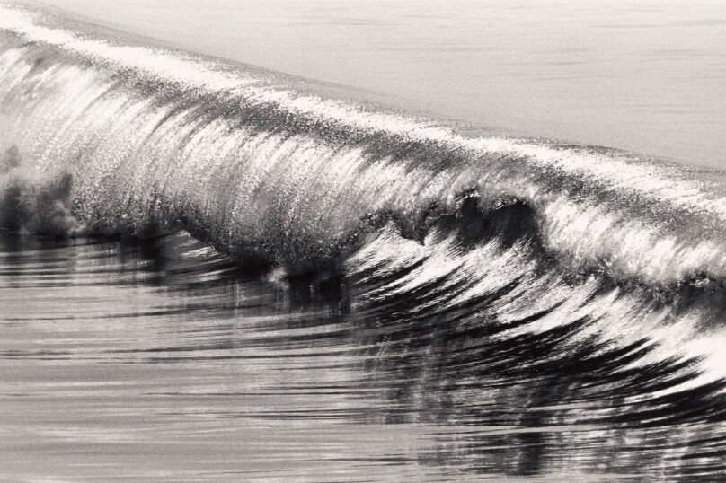 Silver Curl, Hermosa Beach, California