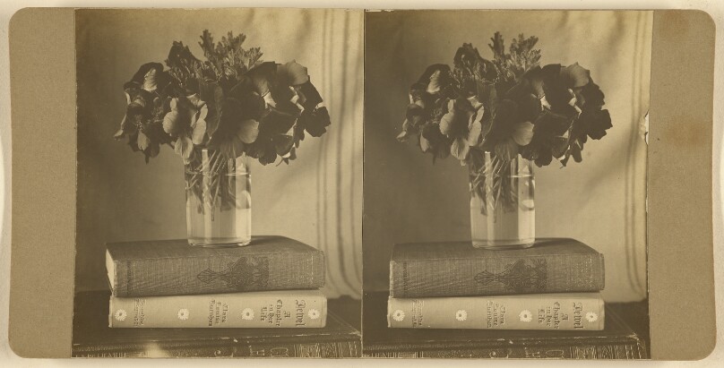 [Nasturtiums]