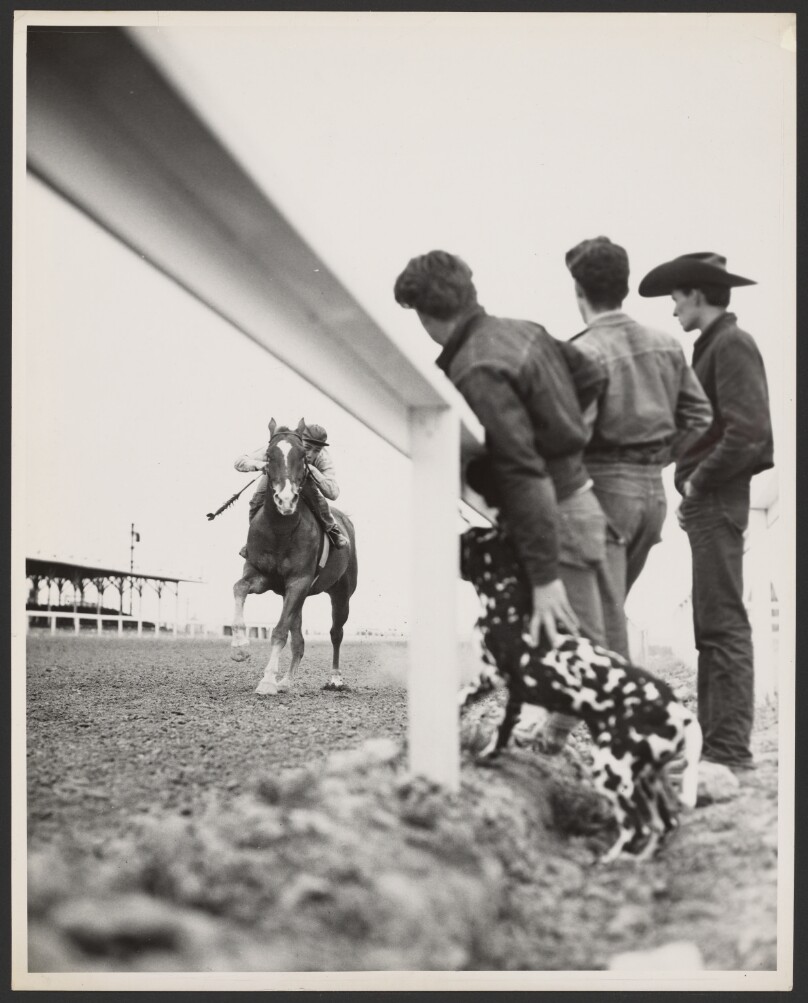 [Men watching racehorse exercising]