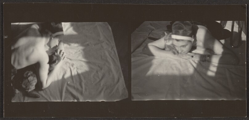 [Contact print-strip from two 37mm negatives: female with cat on sheet]