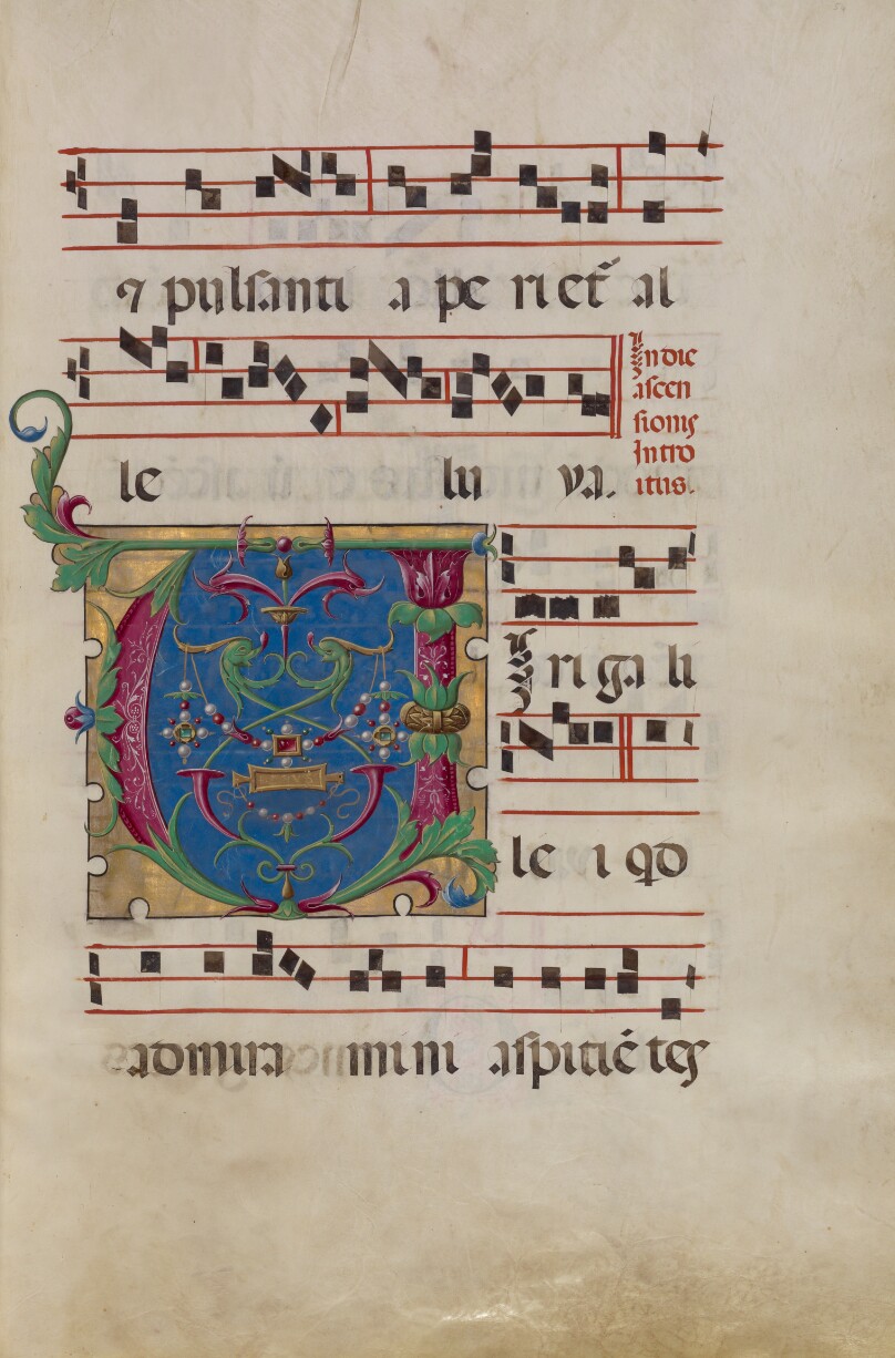 Decorated Initial V