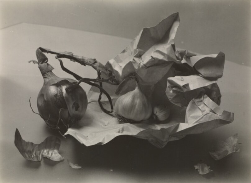 [Still Life with Onions and Garlic]