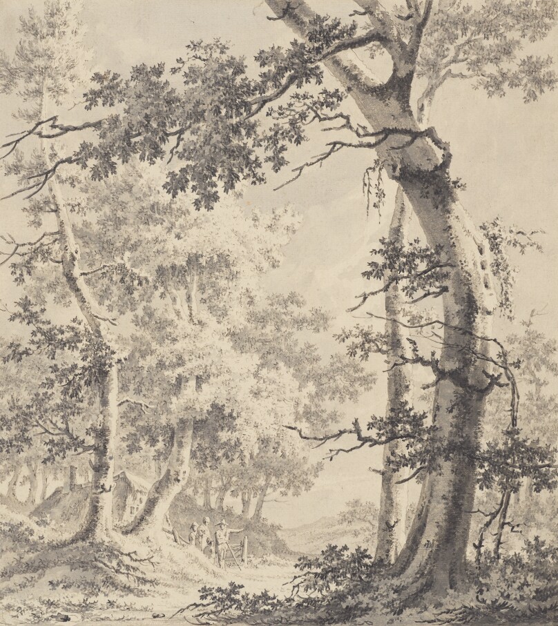 Wooded Landscape