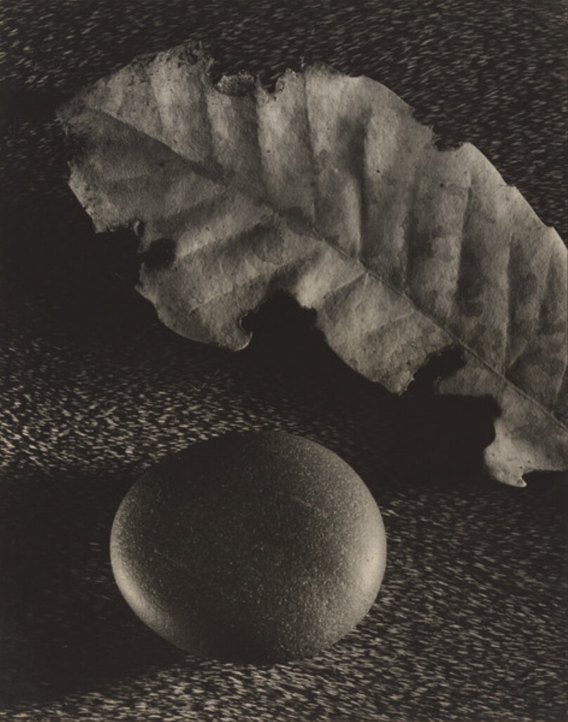 Leaf and Stone, San Francisco