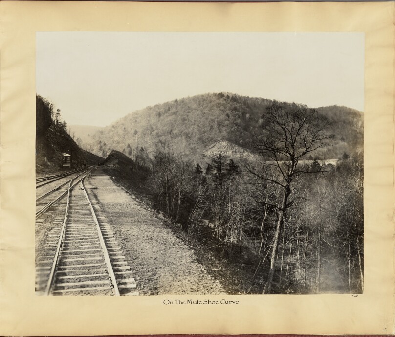 On the Mule Shoe Curve