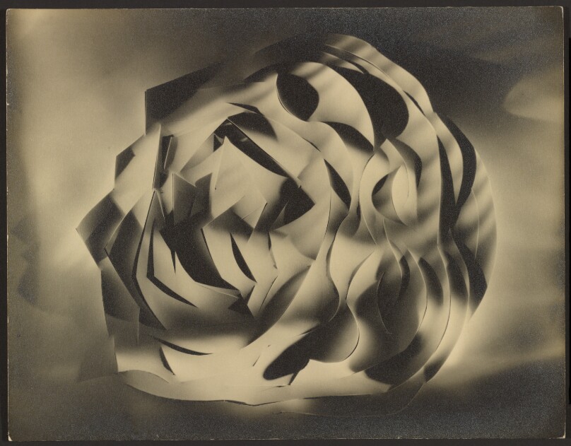 [Cut-paper Abstraction]