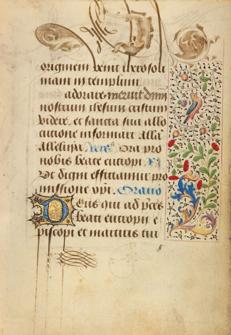 Decorated Text Page
