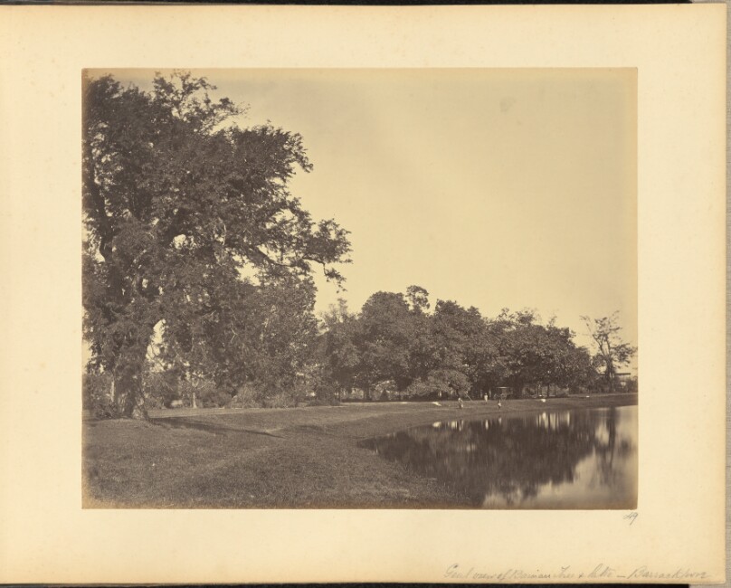 General View of Banian Tree and Lake - Barrackpore
