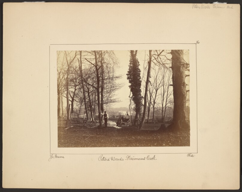 Peter's Woods, Fairmount Park [Philadelphia]
