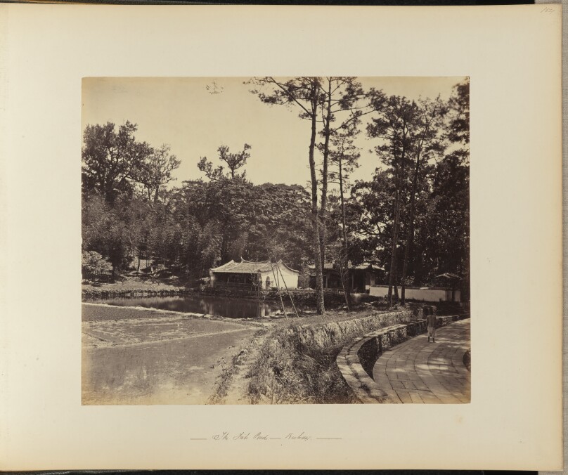 The Fish Pond, Kushan