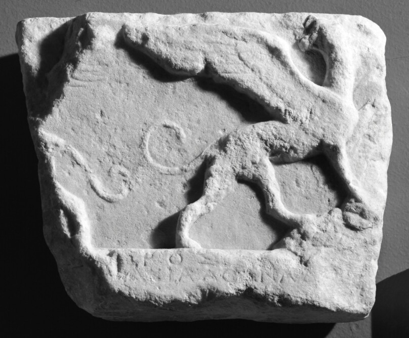 Fragment of a Votive Relief with Griffins