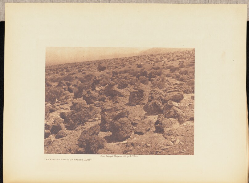 The Ancient Shore of Walker Lake