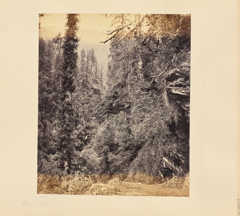 Samuel Bourne