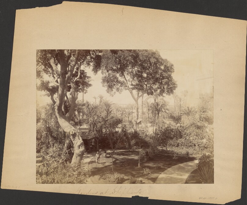 [Gardens at Shepheard's Hotel]