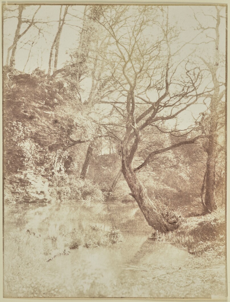 [River Landscape with Barren Trees]