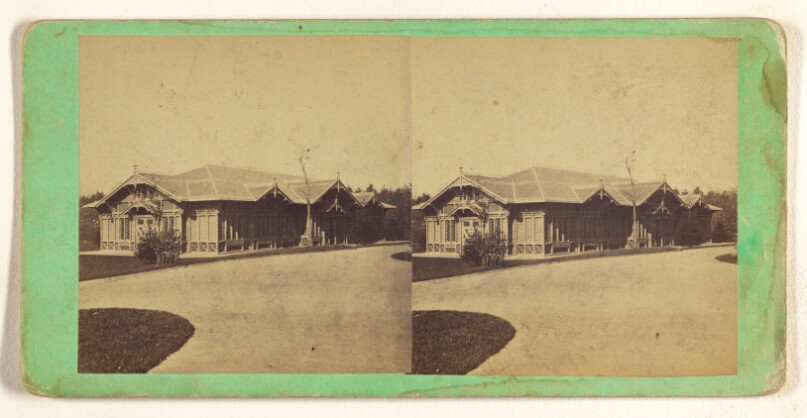 [The Menagerie, Central Park, New York]